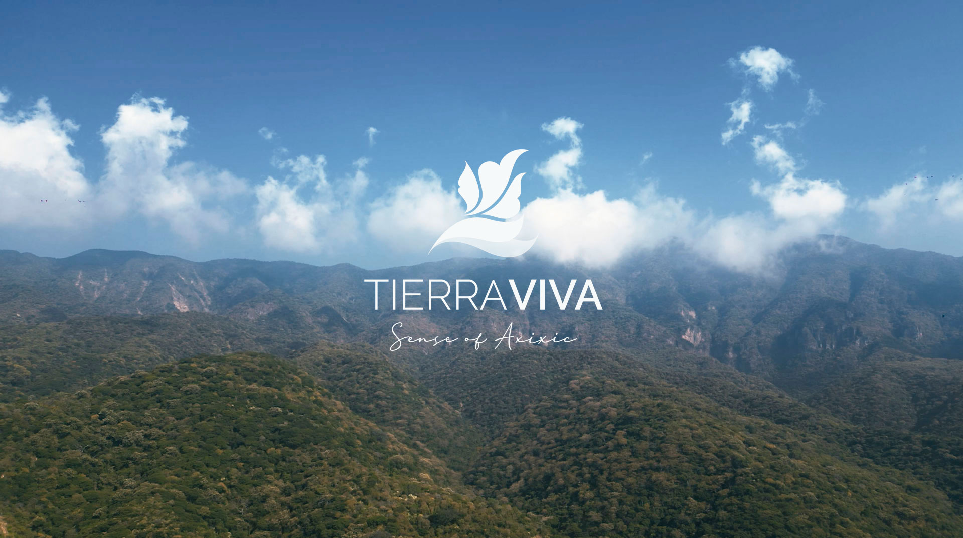 Tierra viva ajijic